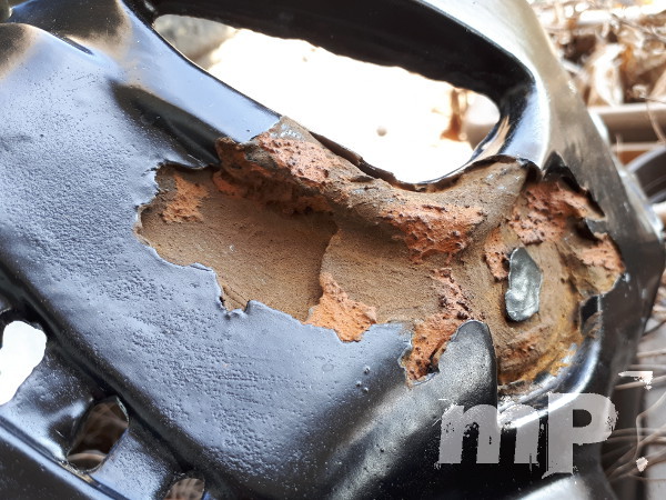 Ausgeblühter Rost